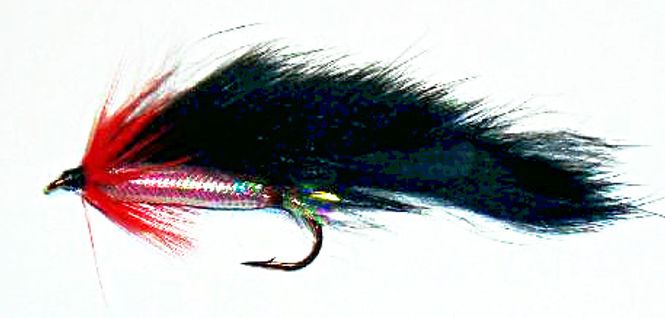 Hovedbilde Zonker (sort)