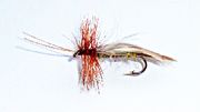 Europa Caddis  (lang krok) 12 stk. samme str.