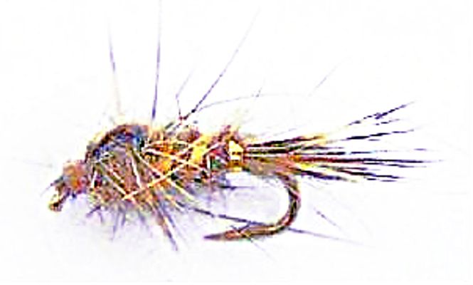Hovedbilde Hare's Ear