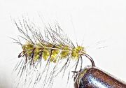 Wolly Worm oliven (lang krok)
