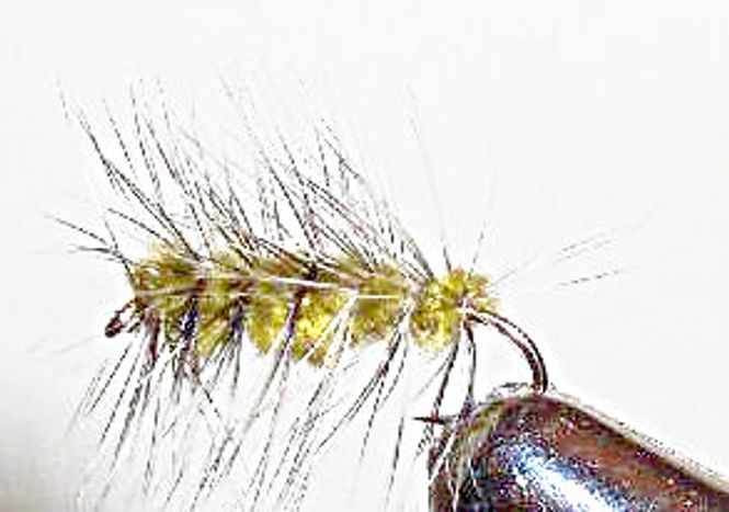 Hovedbilde Wolly Worm oliven (lang krok)