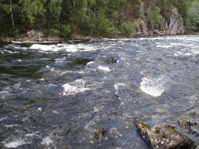 Hovedbilde Fluer for rennende vann