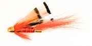 Ally's Shrimp conehead tubeflue kobber