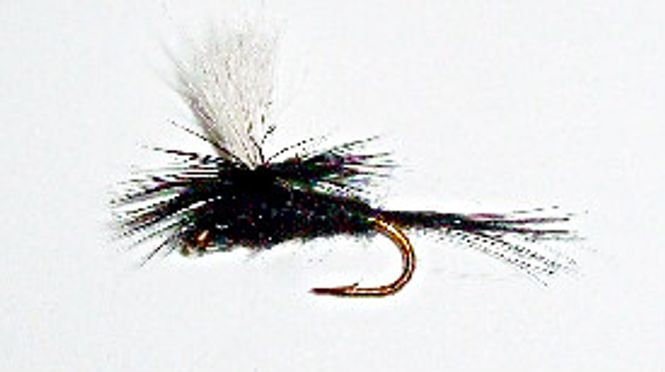 Hovedbilde Black Gnat (døgnfluer og mygg - fallskjerm)