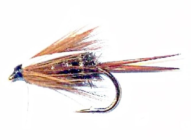 Hovedbilde Prince nymfe