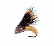 Streaking Caddis