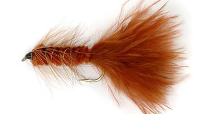 Hovedbilde Wolly Bugger - brun