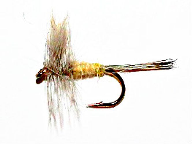 Hovedbilde PMD (Pale Morning Dun)