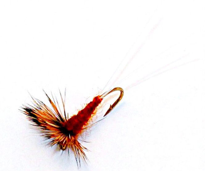 Hovedbilde Comparadun brun 12 stk. samme str.